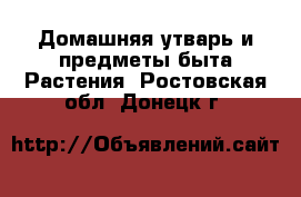 Домашняя утварь и предметы быта Растения. Ростовская обл.,Донецк г.